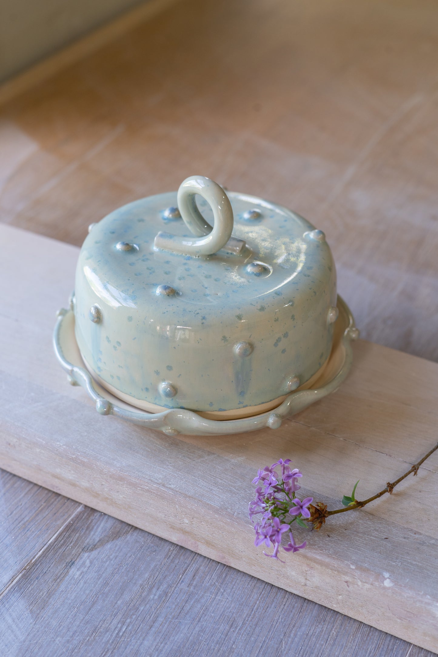 Bold Dot Butter Dish in Aqua