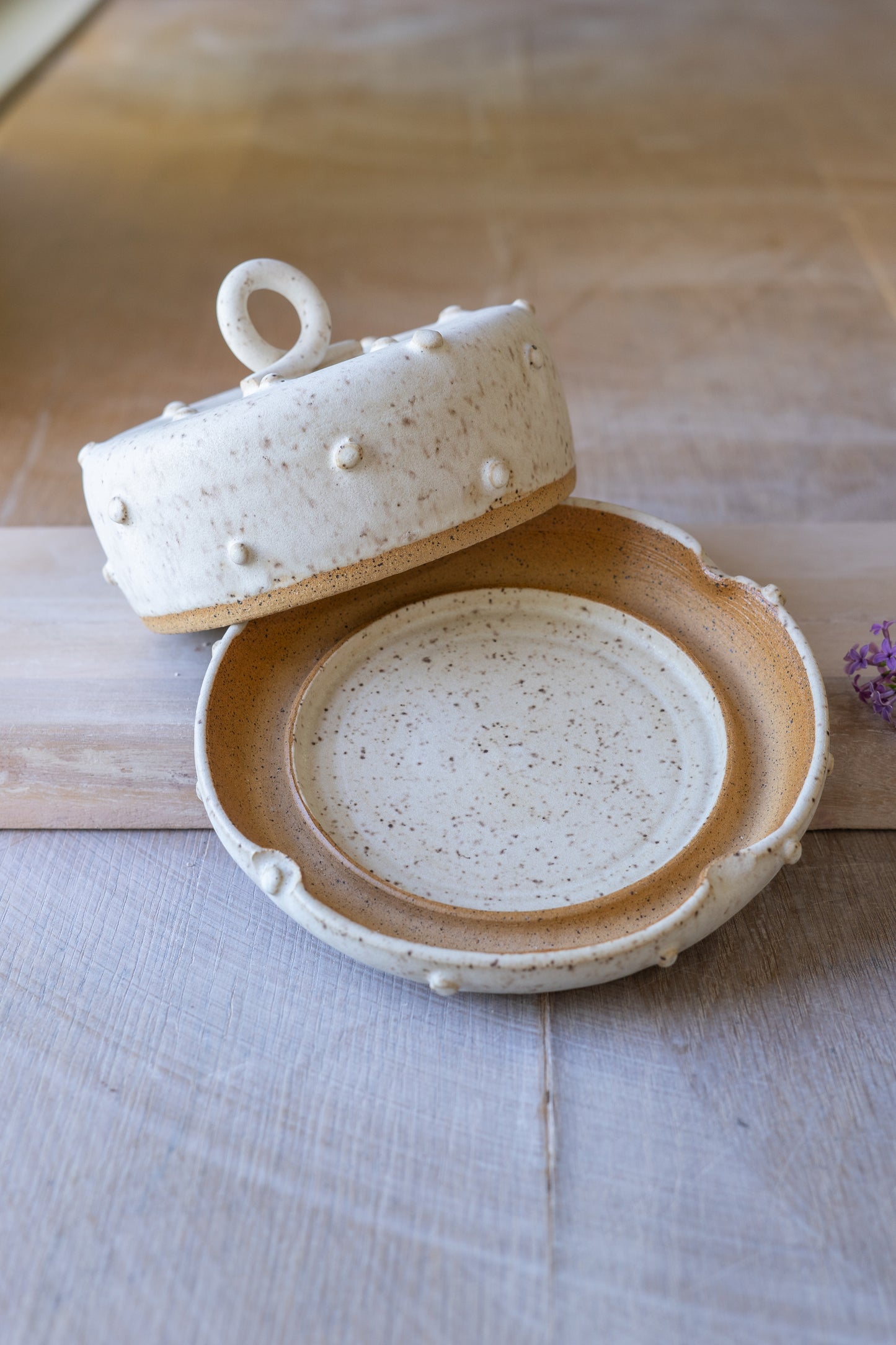 Bold Dot Butter Dish in Speckled White