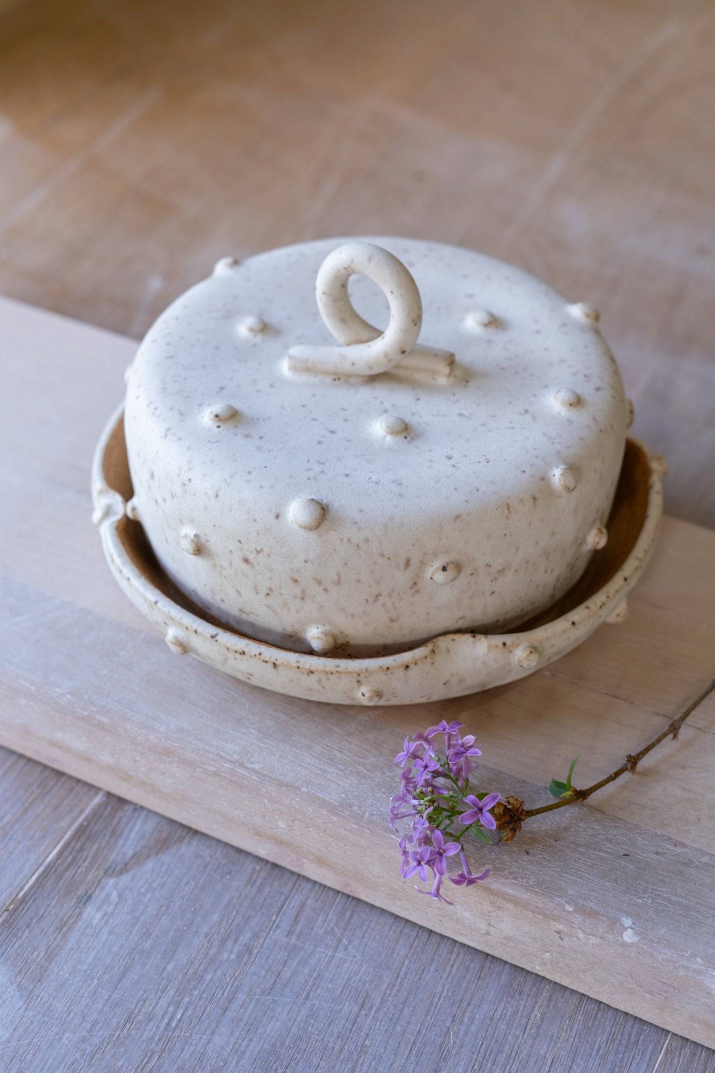 Bold Dot Butter Dish in Speckled White