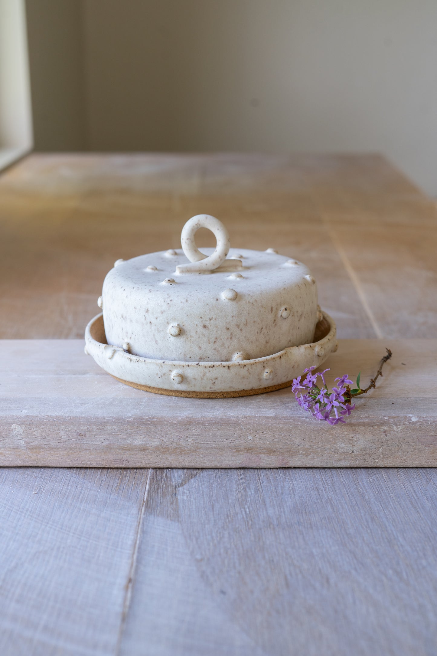 Bold Dot Butter Dish in Speckled White